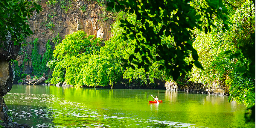 Eco-Lodge in Mauritius